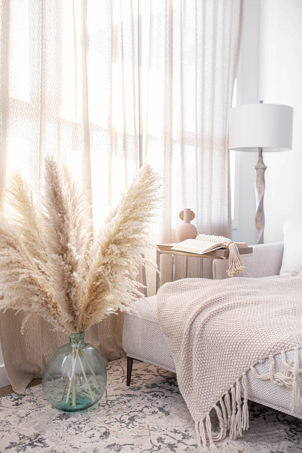 OUR MOST POPULAR AND FLUFFIEST PAMPAS- TYPE 6 NATURAL PAMPAS GRASS